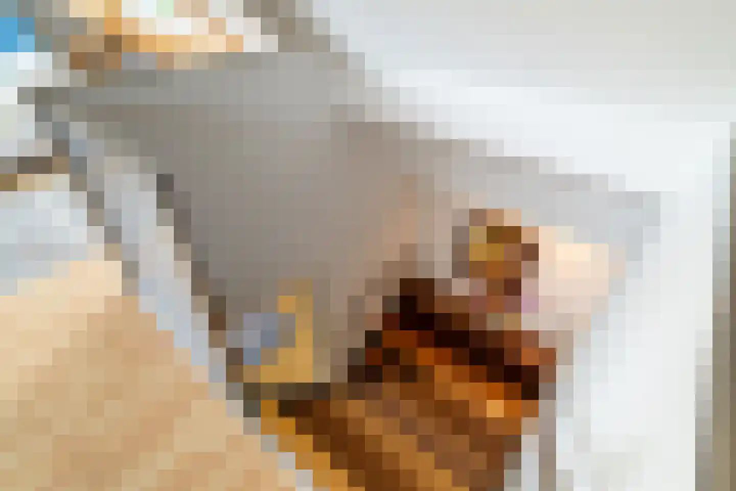 Raam 4 Kaatsheuvel thumbnail 28