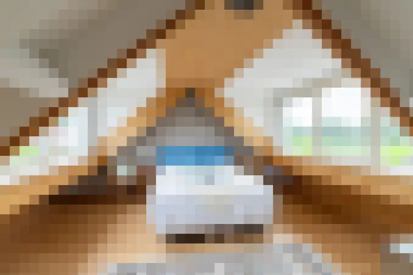 Raam 4 Kaatsheuvel thumbnail 29