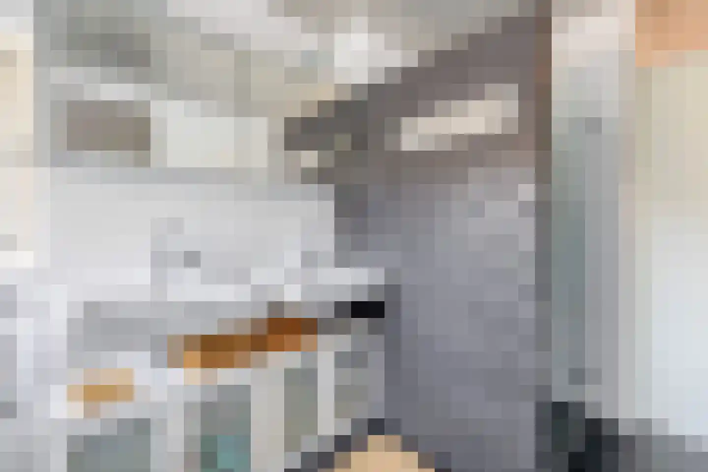 Raam 4 Kaatsheuvel thumbnail 35