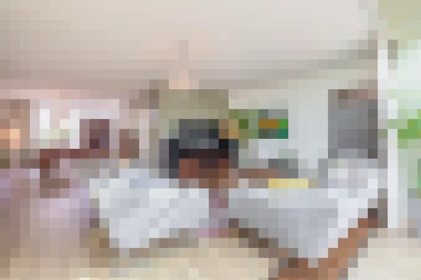 Raam 4 Kaatsheuvel thumbnail 7