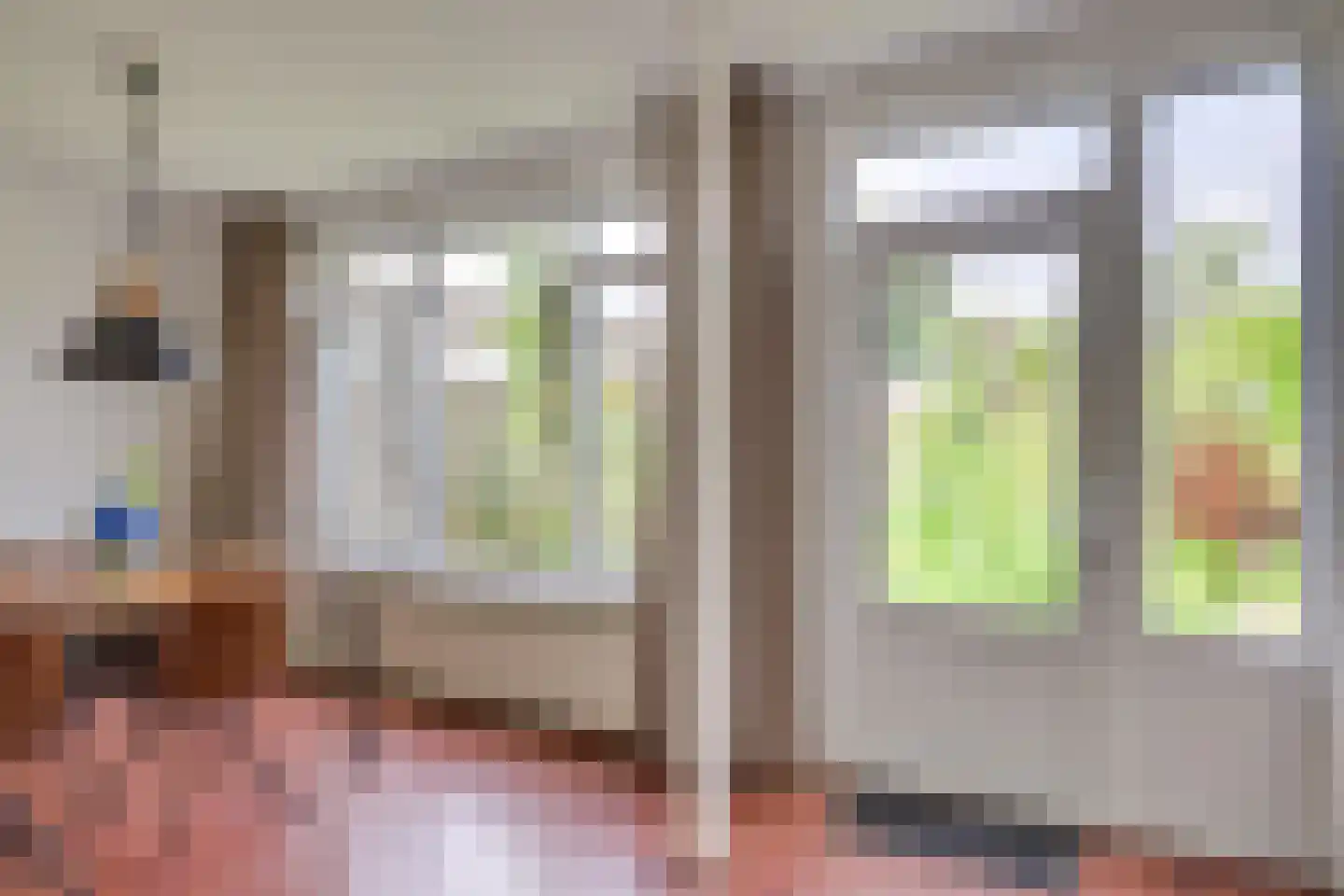 Raam 423 Uden thumbnail 11