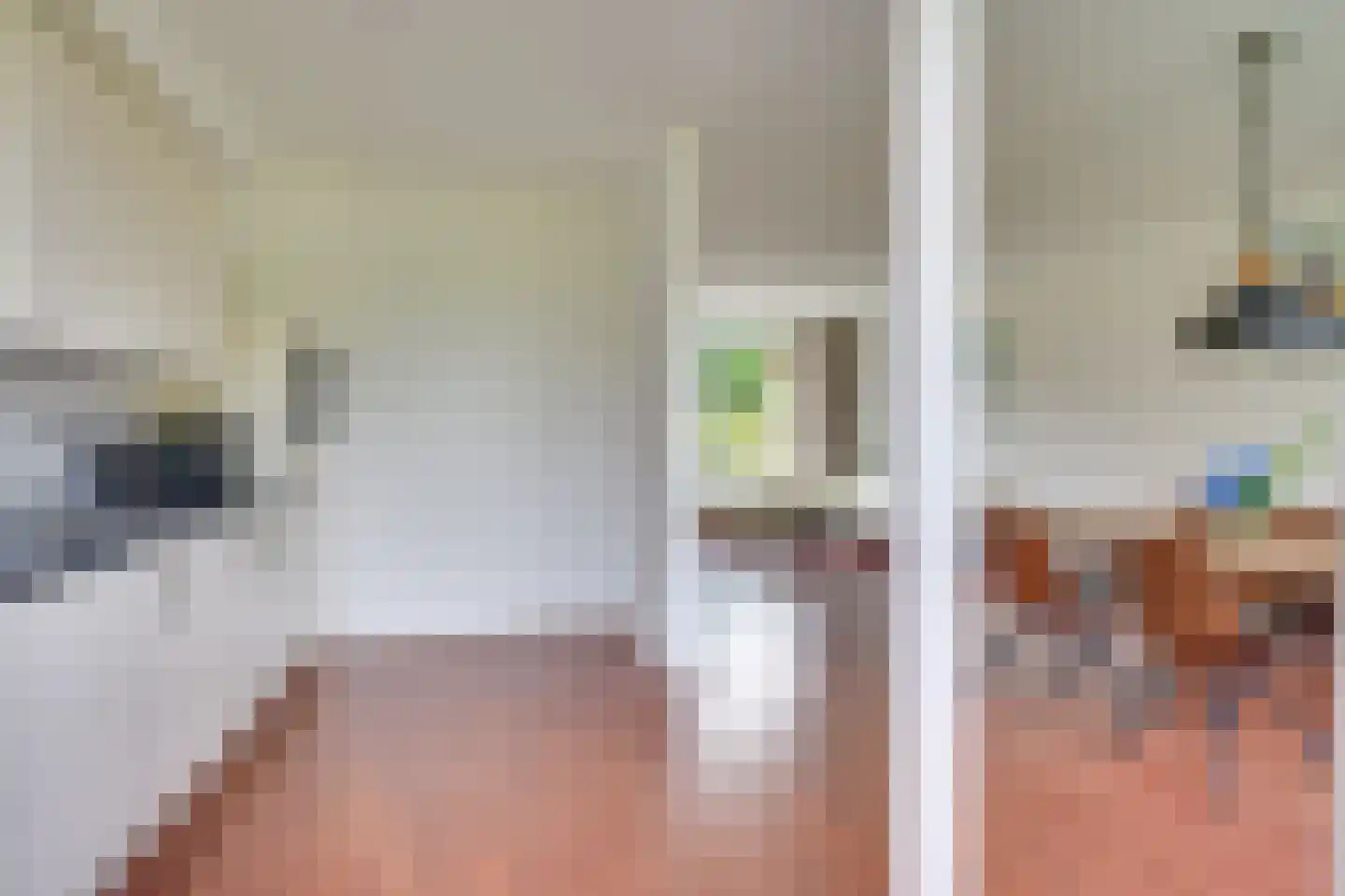 Raam 423 Uden thumbnail 12