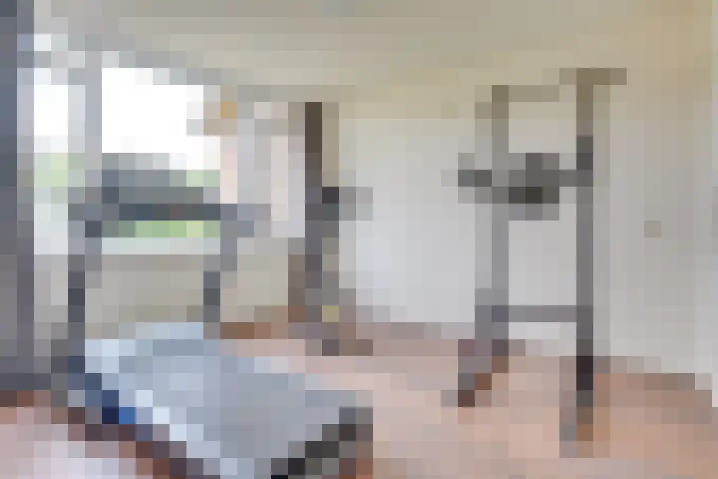 Raam 423 Uden thumbnail 16