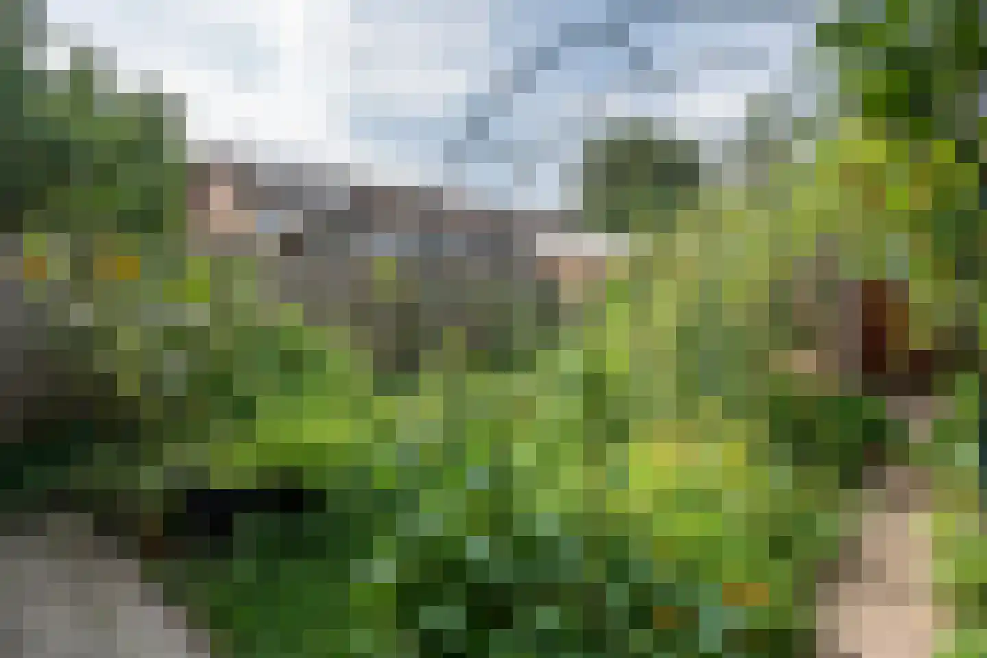 Raam 423 Uden thumbnail 22