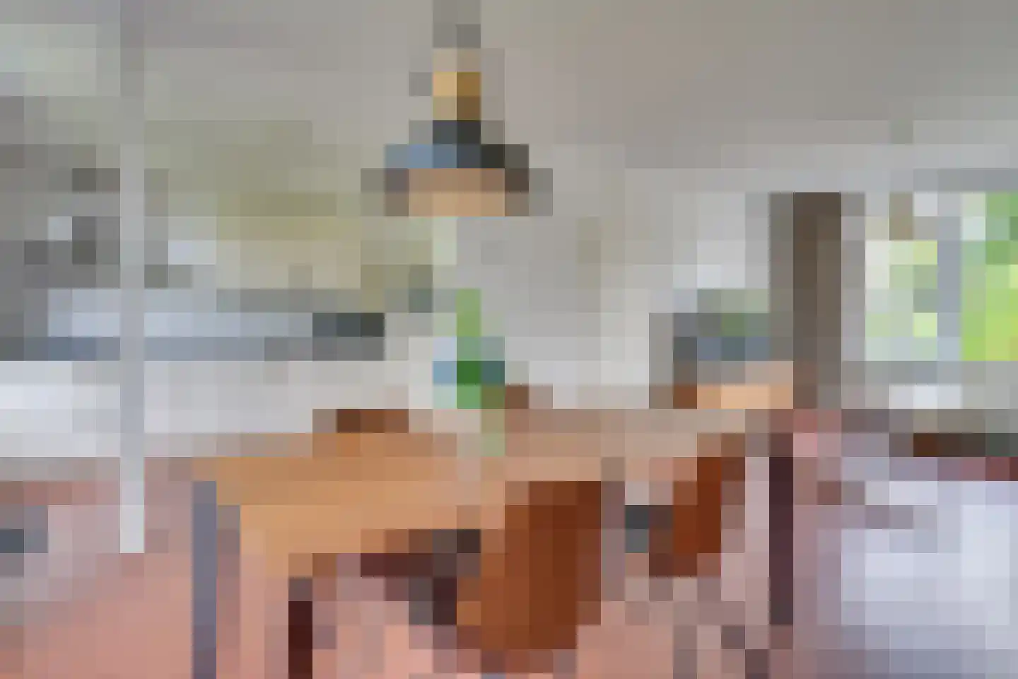 Raam 423 Uden thumbnail 7