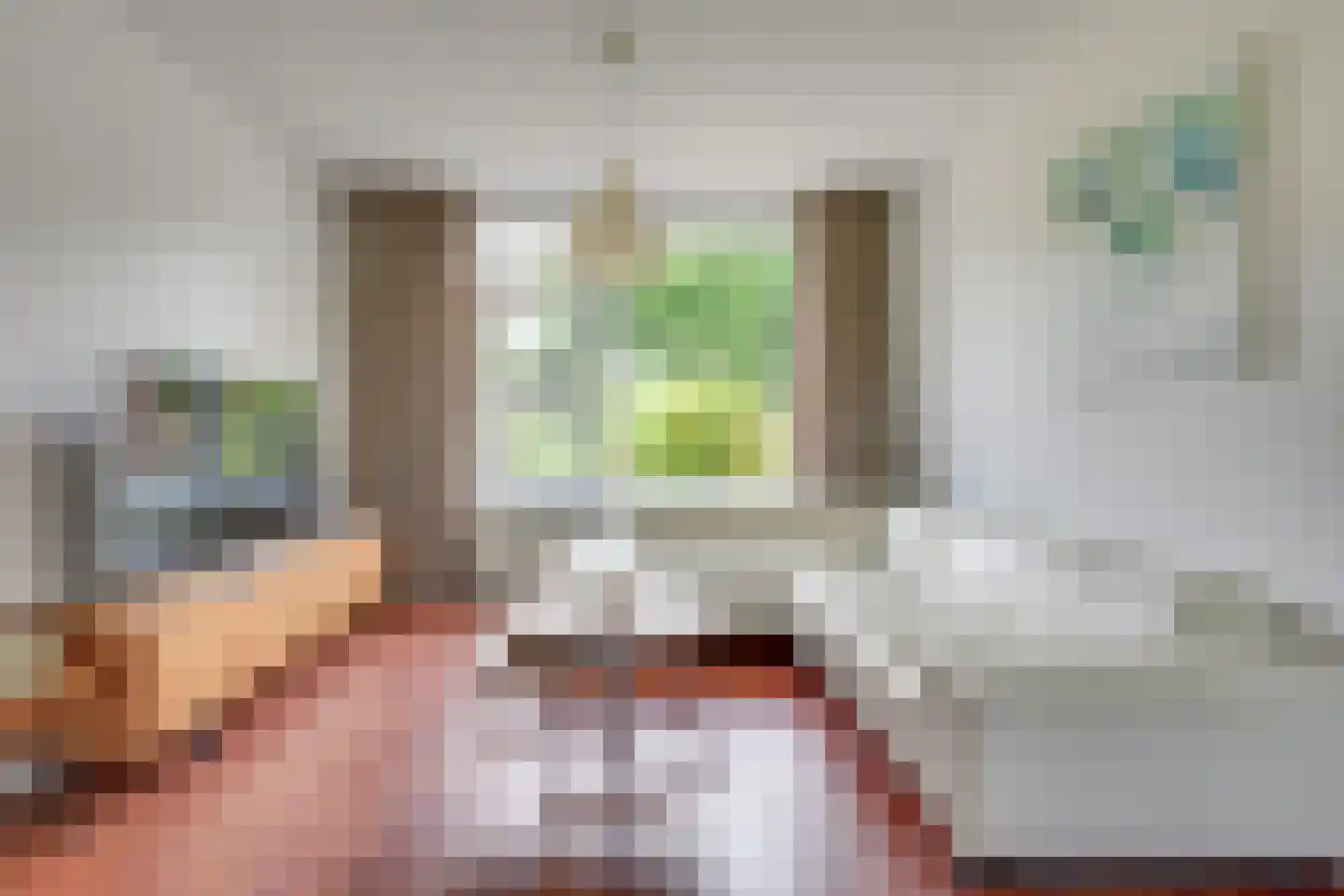 Raam 423 Uden thumbnail 9