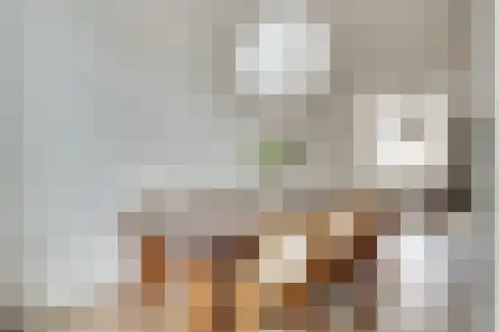 Raam 47 Gouda thumbnail 14