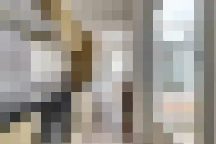 Raam 47 Gouda thumbnail 15