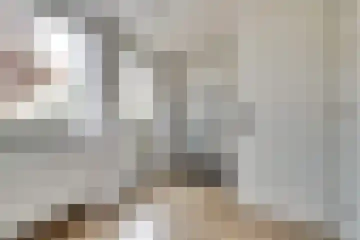 Raam 47 Gouda thumbnail 25
