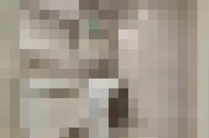 Raam 47 Gouda thumbnail 27