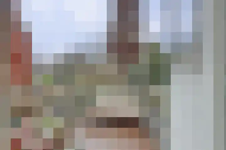 Raam 47 Gouda thumbnail 29