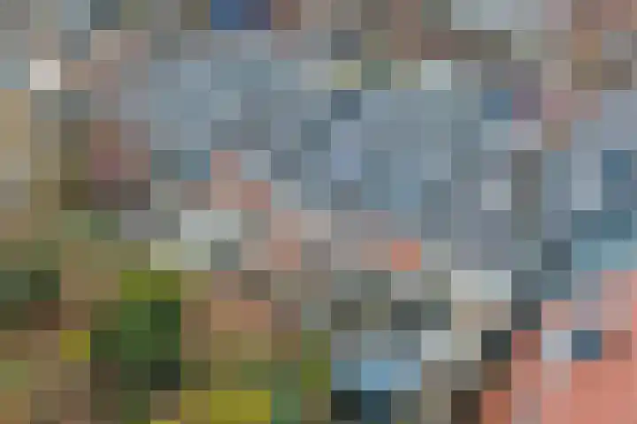 Raam 47 Gouda thumbnail 37