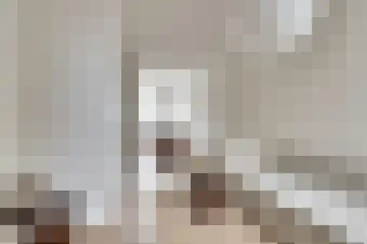 Raam 47 Gouda thumbnail 4