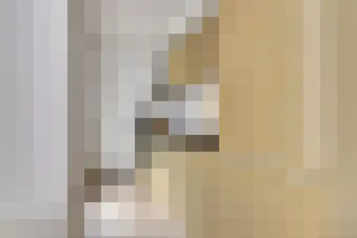 Raam 47 Gouda thumbnail 5