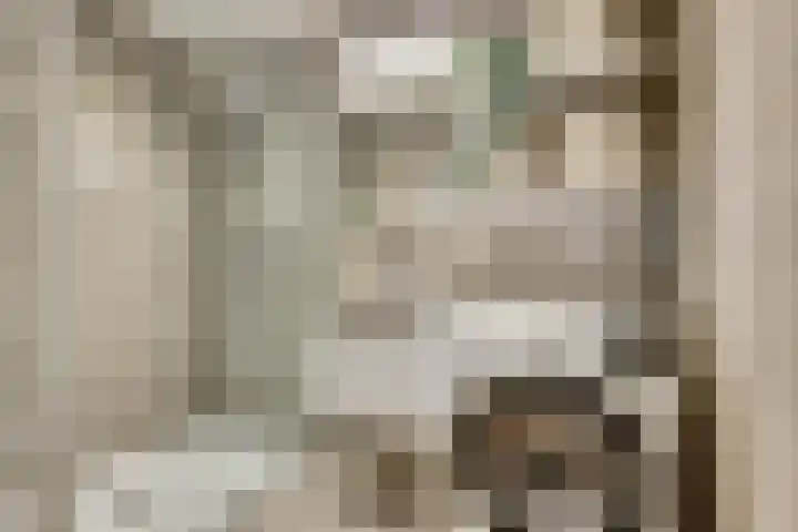 Raam 47 Gouda thumbnail 6