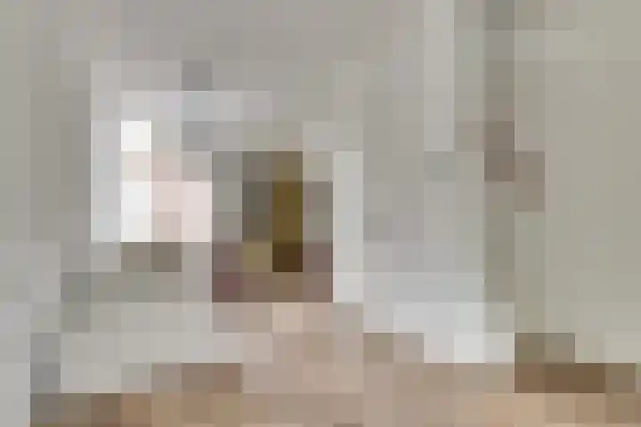 Raam 47 Gouda thumbnail 9