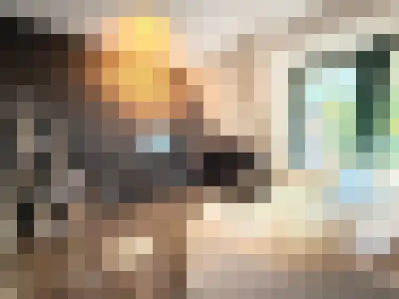 Raam 55 Gouda thumbnail 10