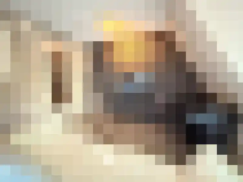 Raam 55 Gouda thumbnail 11