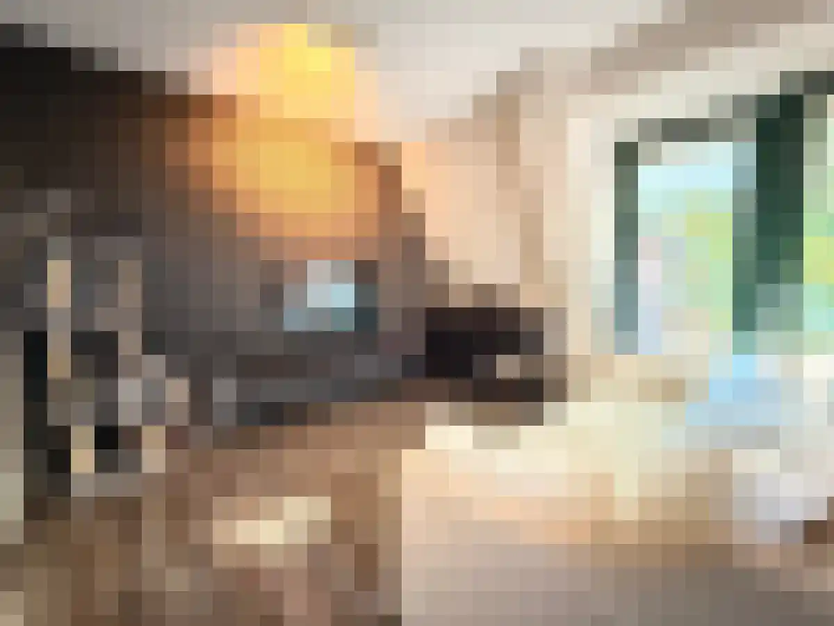 Raam 55 Gouda thumbnail 4