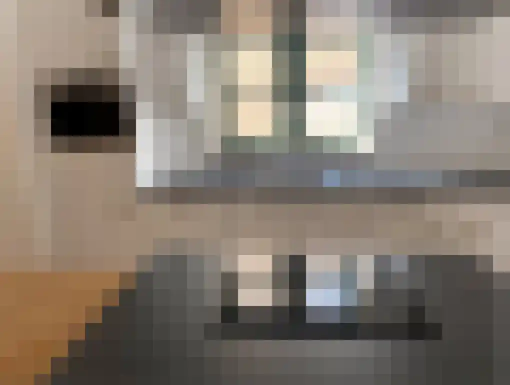 Raam 55 Gouda thumbnail 4
