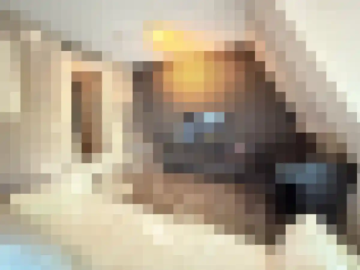 Raam 55 Gouda thumbnail 5