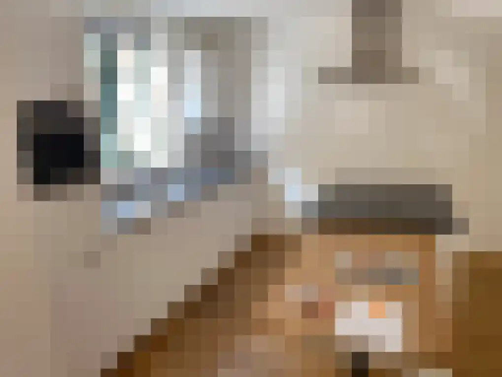 Raam 55 Gouda thumbnail 5