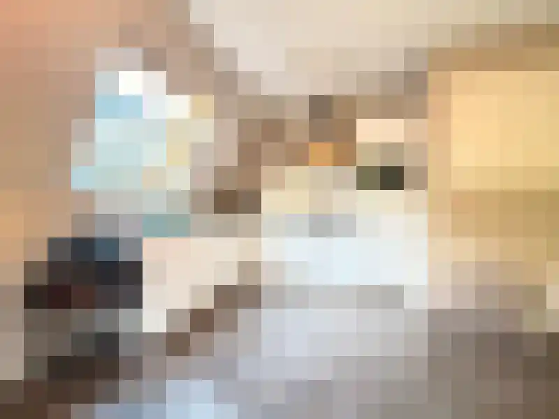 Raam 55 Gouda thumbnail 9