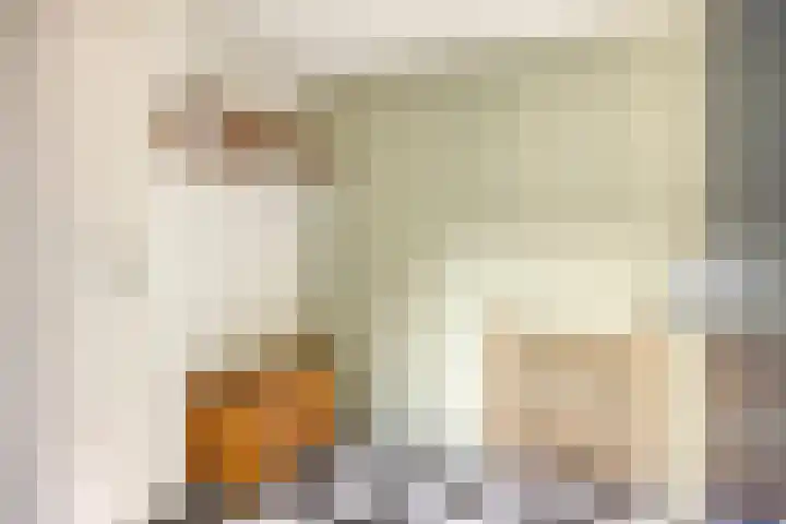 Raam 619 Uden thumbnail 10
