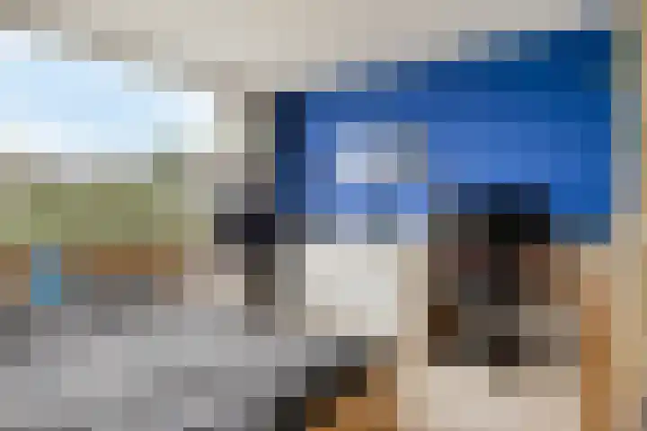 Raam 619 Uden thumbnail 14