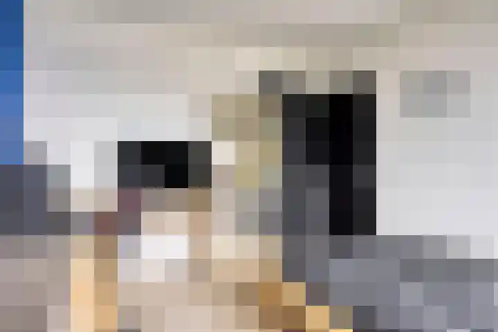 Raam 619 Uden thumbnail 15