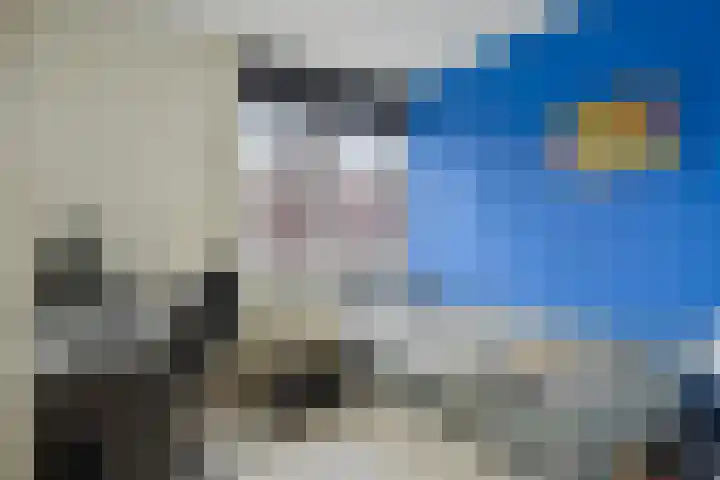 Raam 619 Uden thumbnail 16