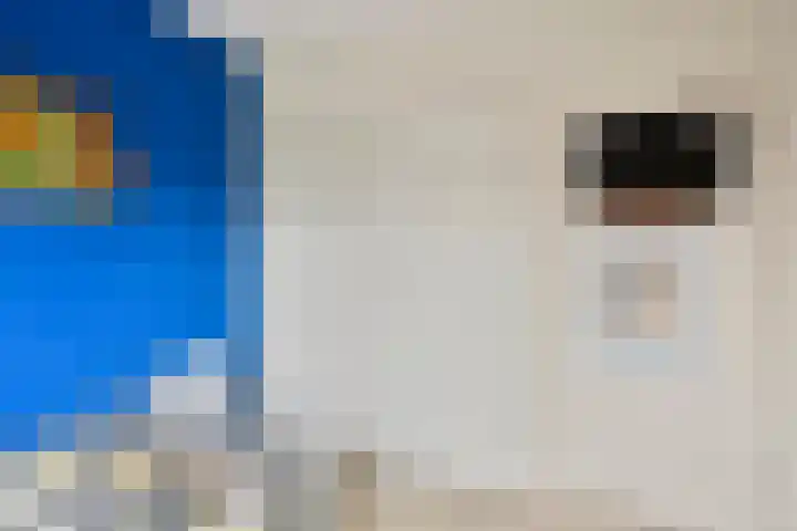 Raam 619 Uden thumbnail 17