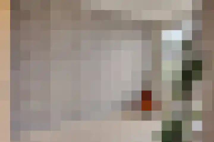 Raam 619 Uden thumbnail 18