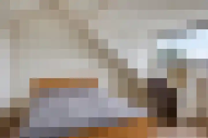 Raam 619 Uden thumbnail 23