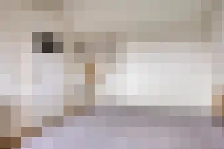 Raam 619 Uden thumbnail 24
