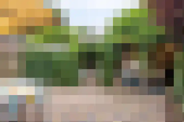 Raam 619 Uden thumbnail 27