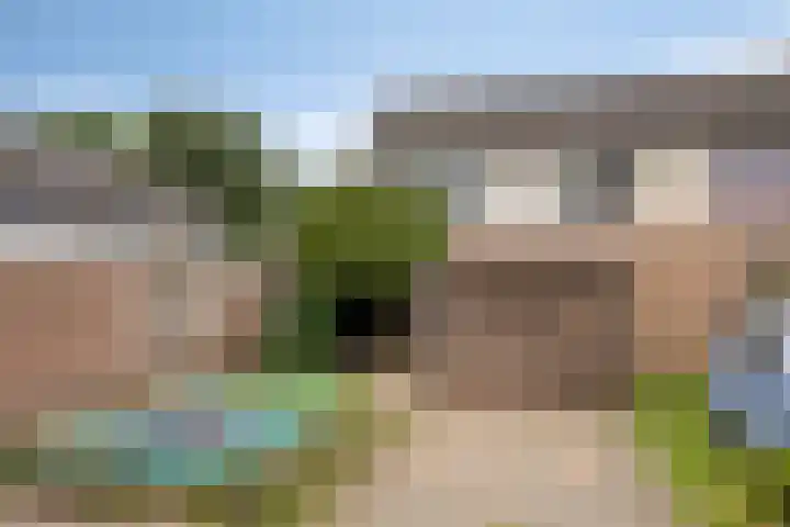 Raam 619 Uden thumbnail 30