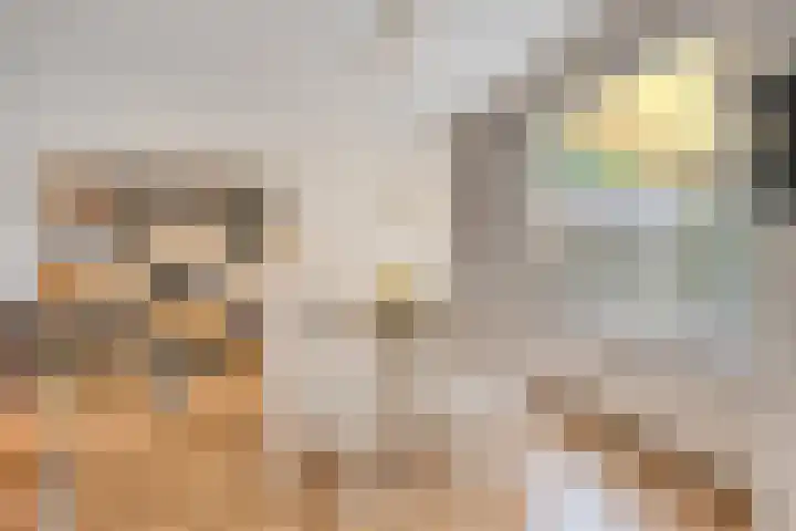 Raam 619 Uden thumbnail 6