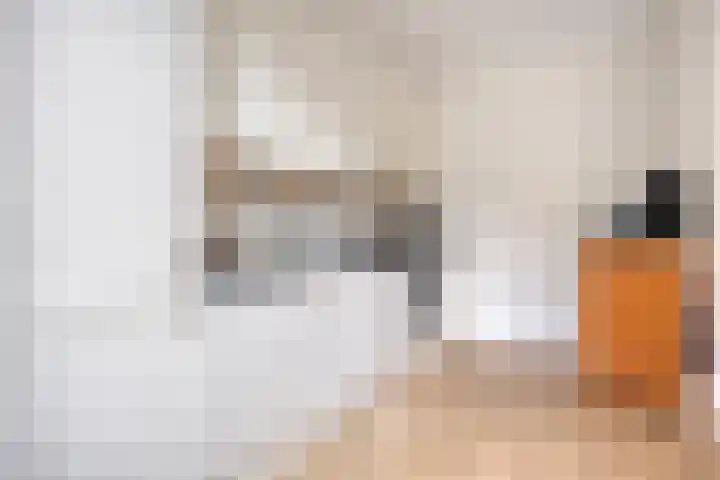 Raam 619 Uden thumbnail 7