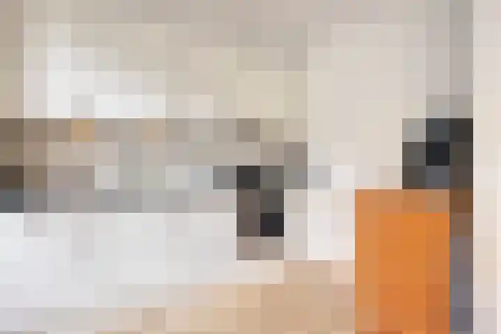 Raam 619 Uden thumbnail 8