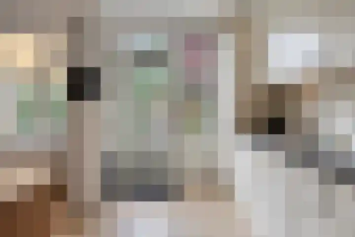 Raam 619 Uden thumbnail 9