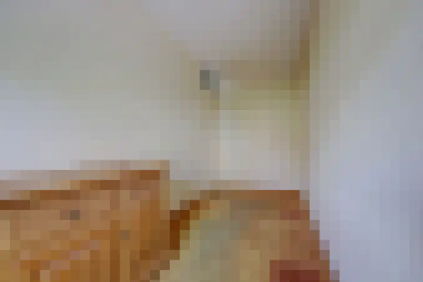 Raam 63 b Gouda thumbnail 20