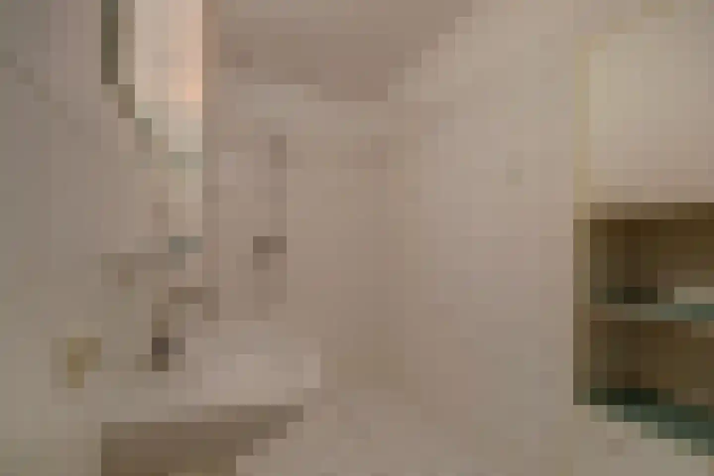 Raam 63 b Gouda thumbnail 22