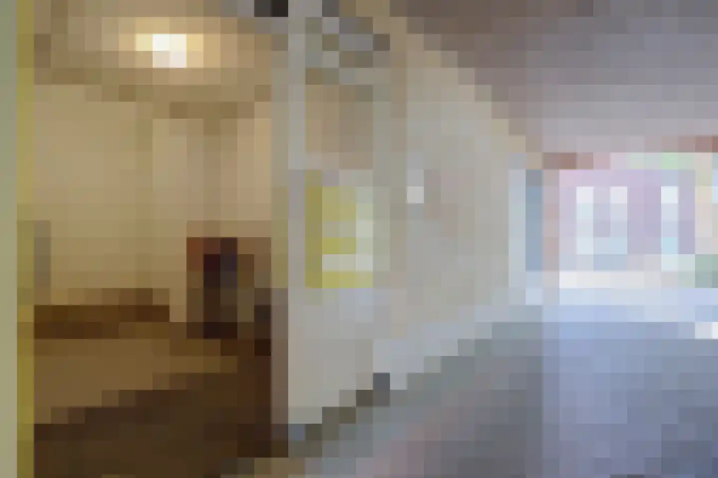 Raam 63 b Gouda thumbnail 29