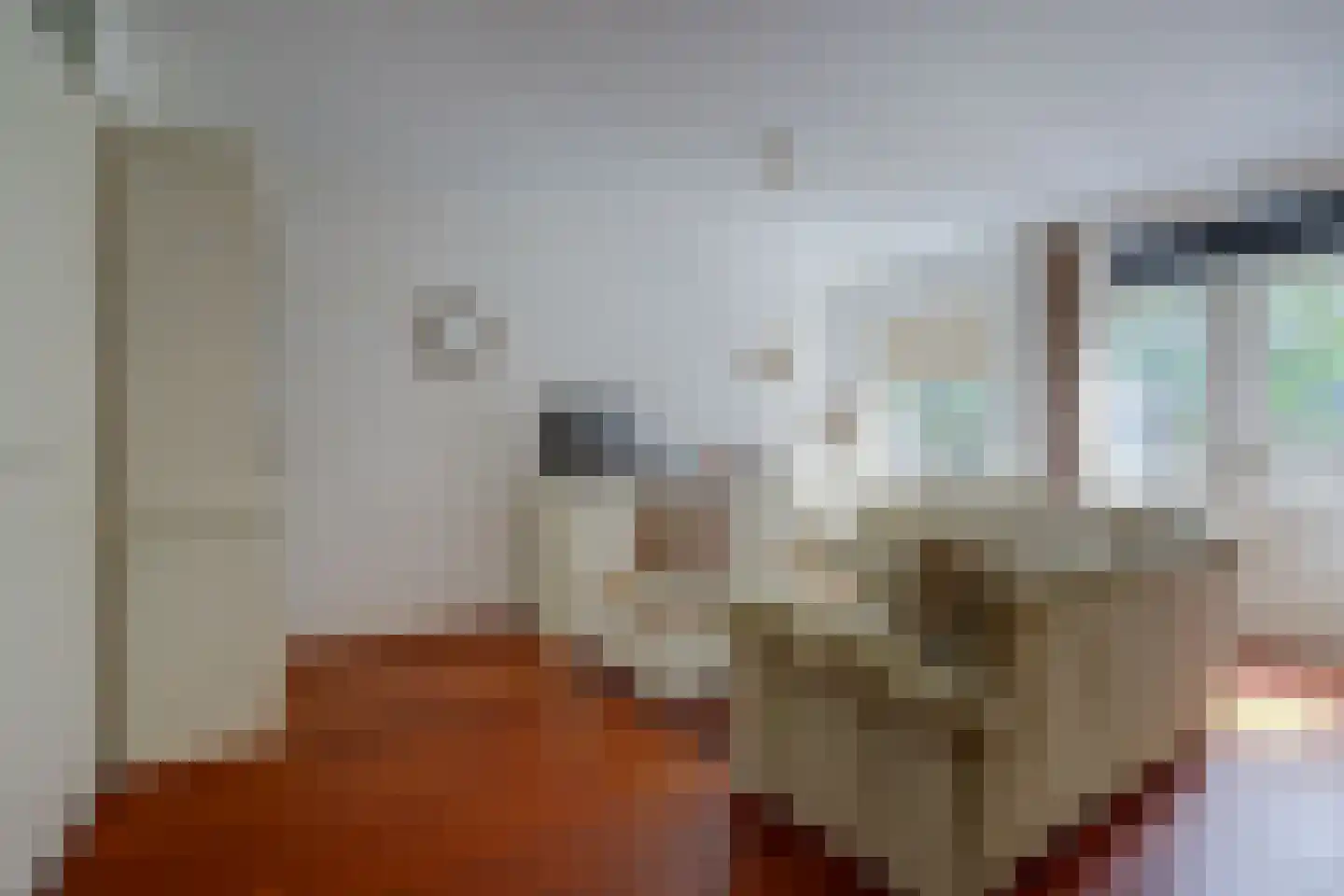 Raam 63 b Gouda thumbnail 8