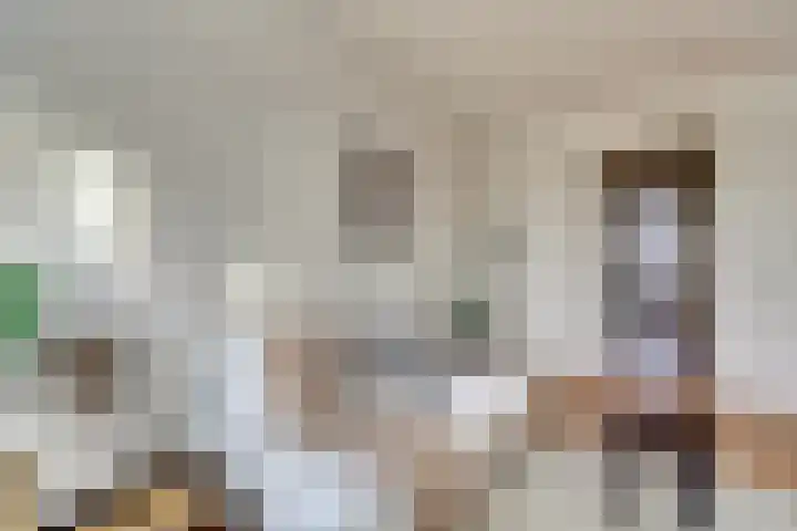 Raam 63 g Gouda thumbnail 10