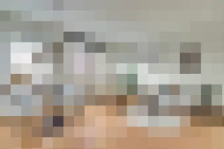 Raam 63 g Gouda thumbnail 11