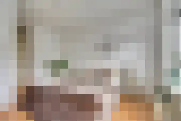 Raam 63 g Gouda thumbnail 16