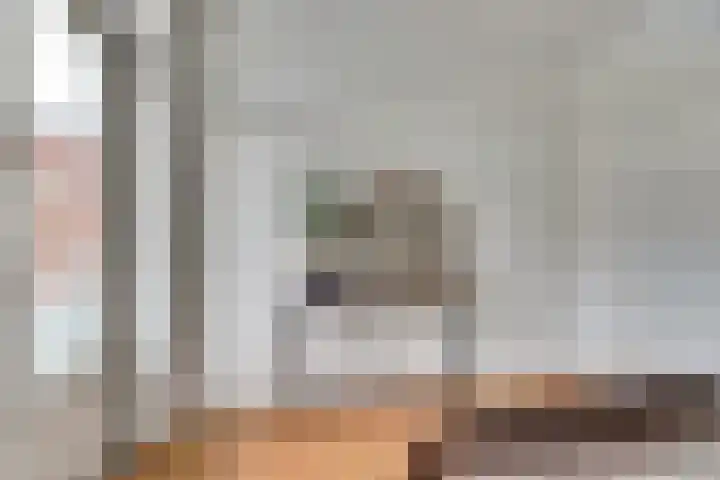 Raam 63 g Gouda thumbnail 17