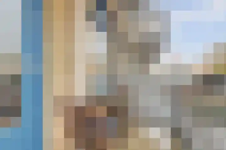 Raam 63 g Gouda thumbnail 18